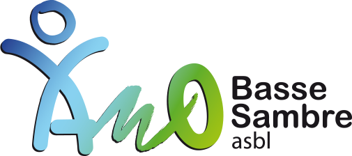 AMO Basse Sambre asbl